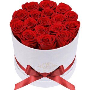17 Flowers in a Luxury Suede Gift Box Birthday Gifts Preserved Flowers Red